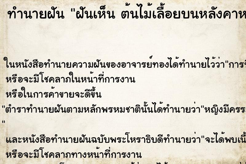ทำนายฝันทำนายฝันฝันเห็นต้นไม้เลื้อยบนหลังคาหน้าบ้าน